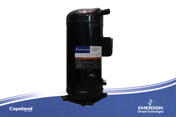 蔬菜冷庫保鮮技術(shù)分享：蒜苗儲存半年依舊新鮮如初