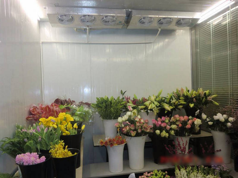 鮮花冷庫怎樣保鮮鮮花？是用風冷還是直冷？